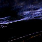 Ragnatele | Foto R. Pegolo 